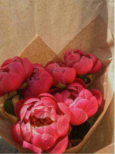 Rose gifts