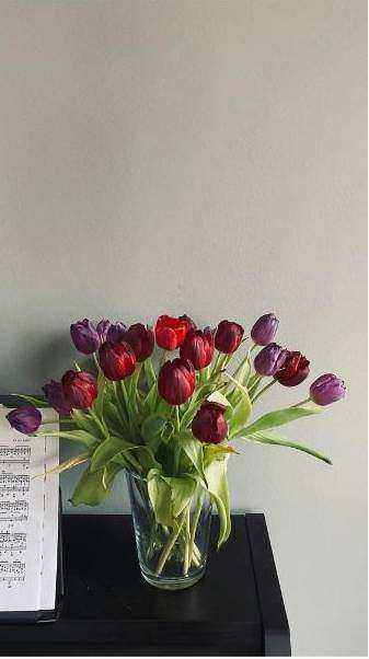 Roses and seasonal blooms