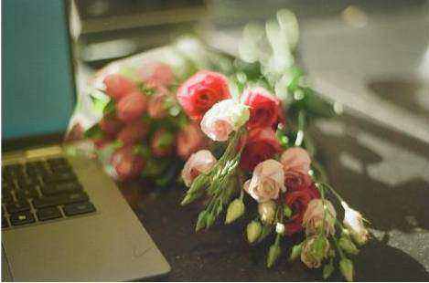 Occasionflash studio