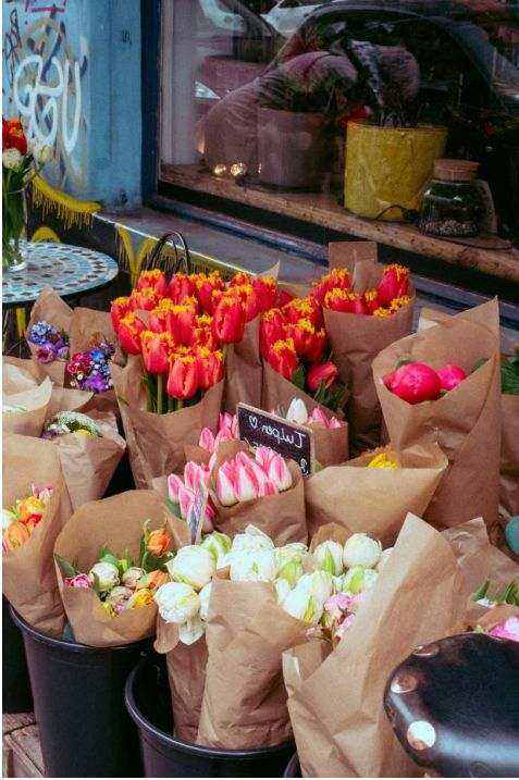 Bouquet preparation