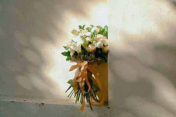 Set C - elegant whites