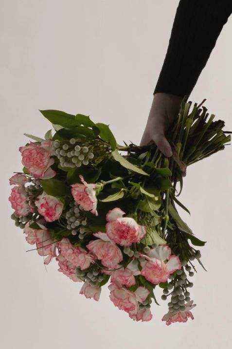 Rose and greenery