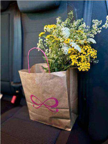 Kraft paper rolls